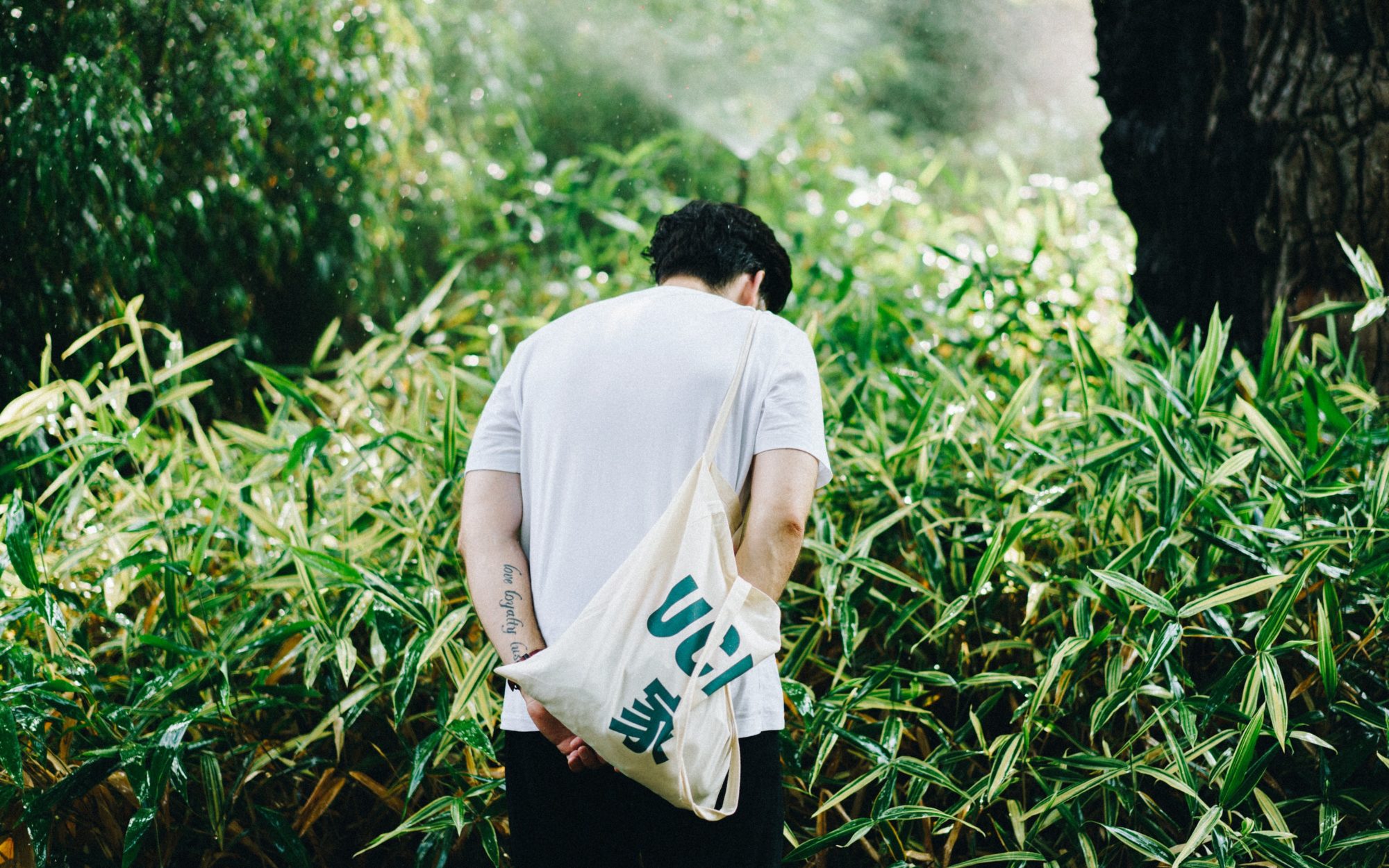 Eco-fabrics: the complete guide to hemp, bamboo and organic cotton fabric