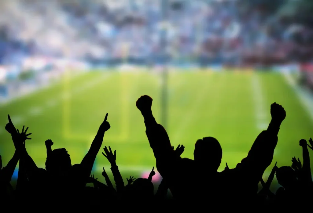 American football fans cheering in a stadium during a game. Check out what your group could wear with personally crafted t shirts.